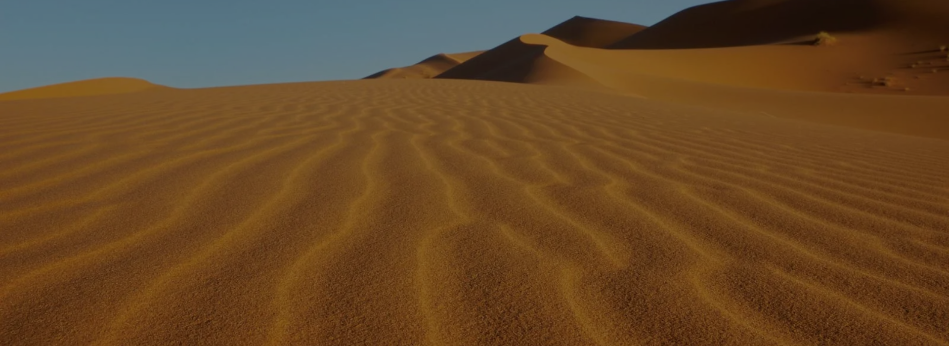 Desert and Sea Camping Tools